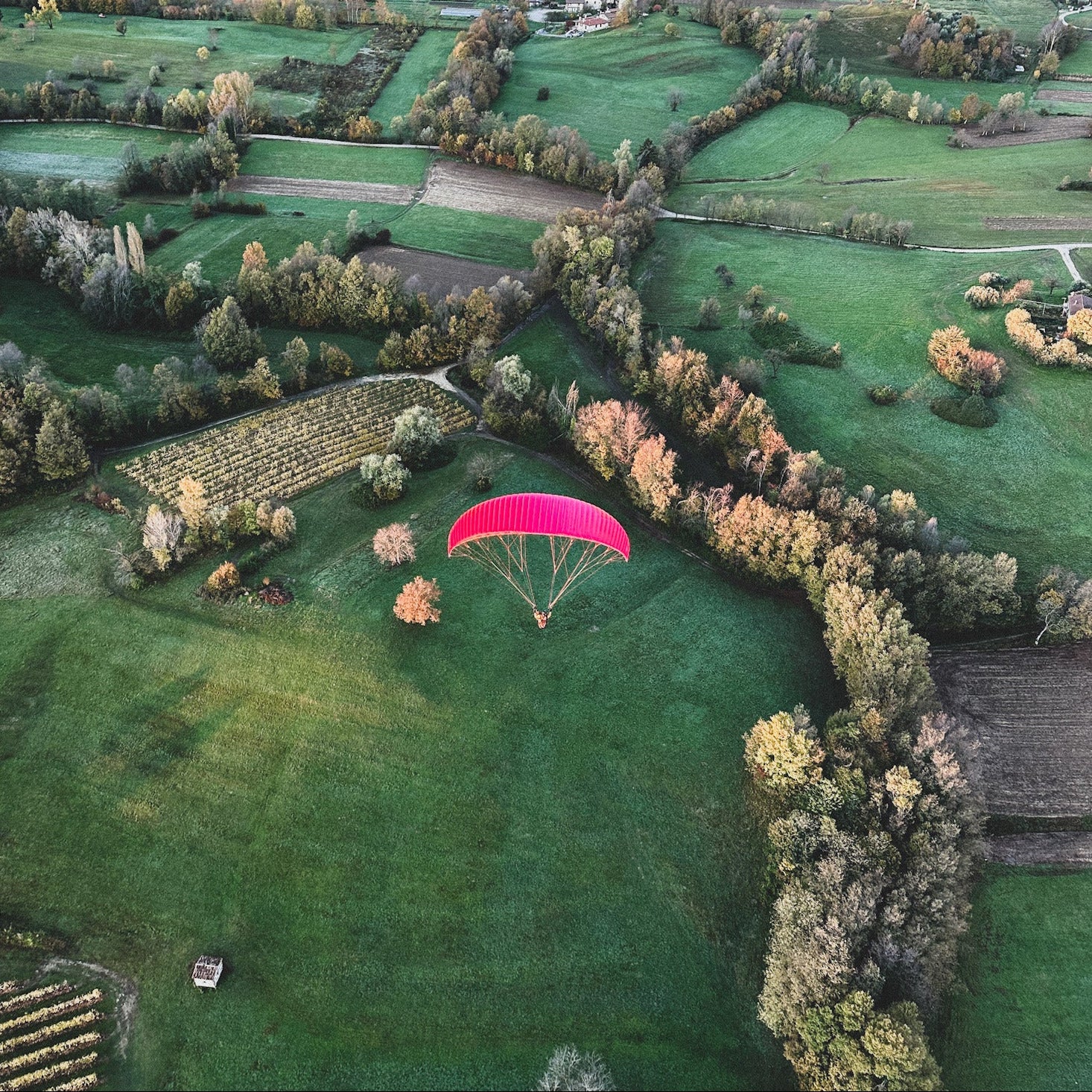 GIN Calypso 2 / S / Sangria - gebraucht